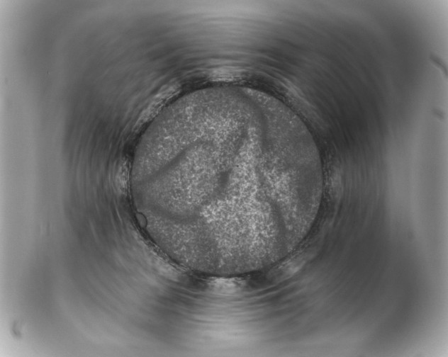 X0000102500277200808291718