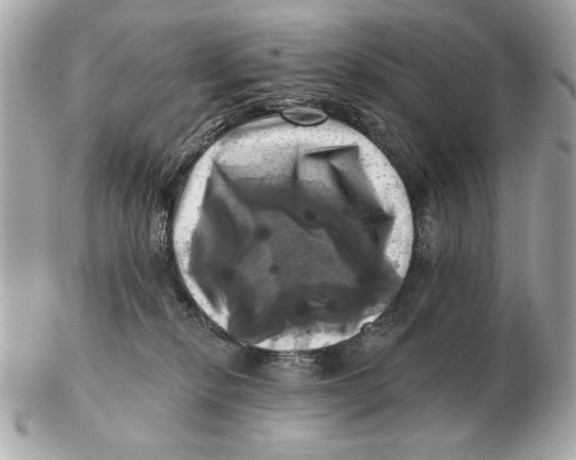 X0000102500278200808291718