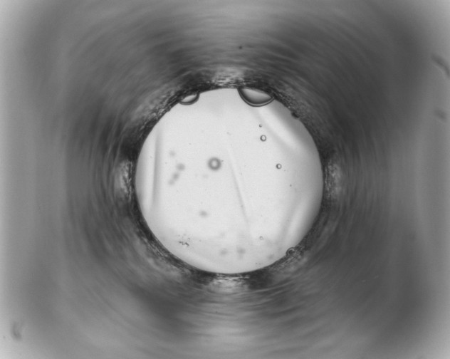 X0000102500280200808291718