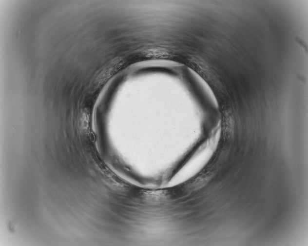 X0000102500281200808291718