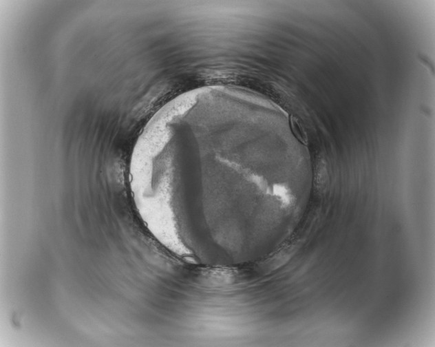 X0000102500282200808291718