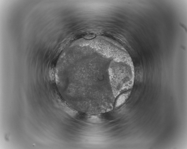 X0000102500285200808291718