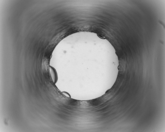 X0000102500287200808291718