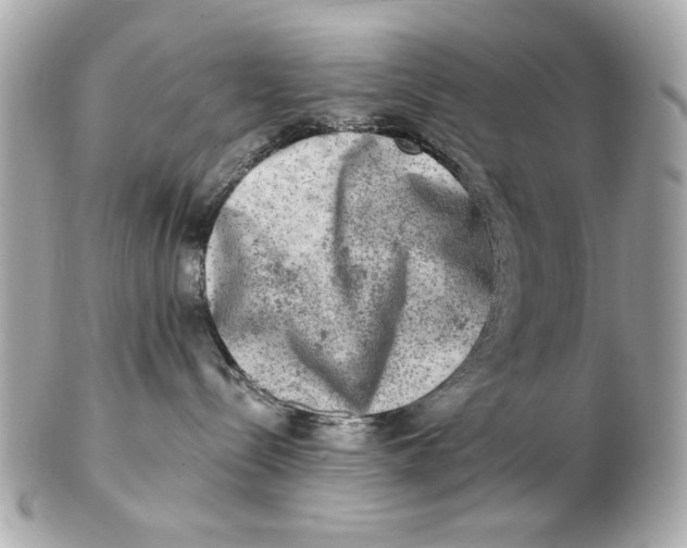 X0000102500288200808291718