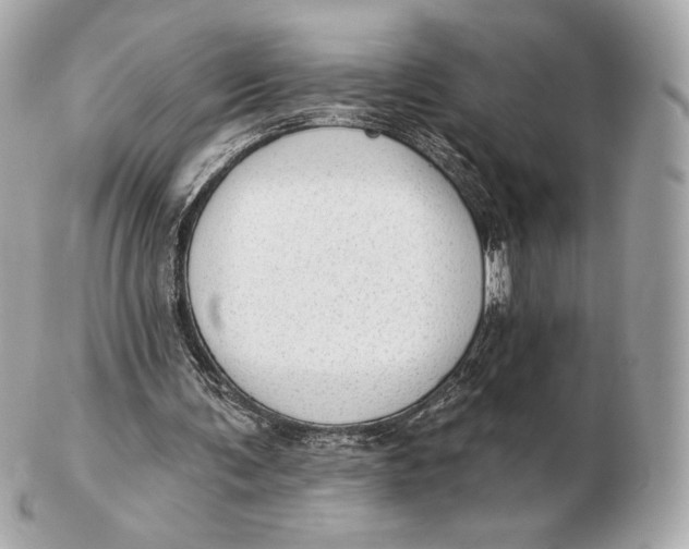 X0000102500291200808291717