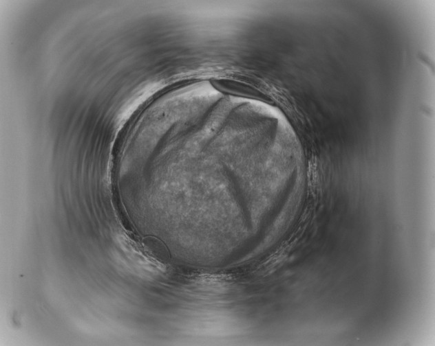 X0000102500292200808291717