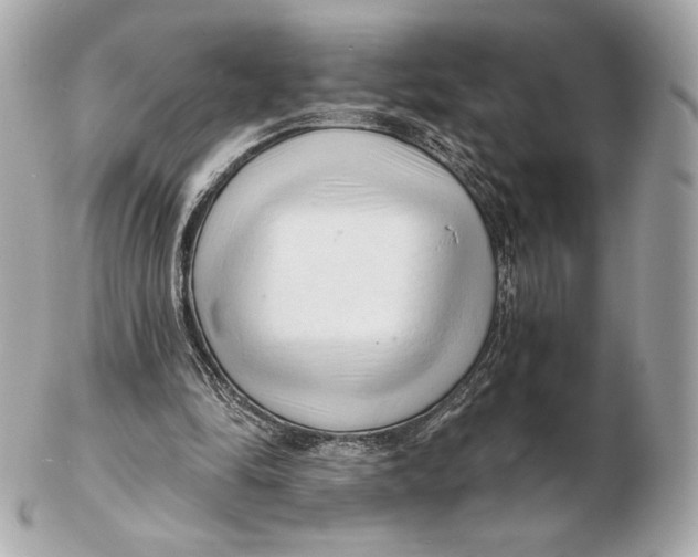 X0000102500294200808291717