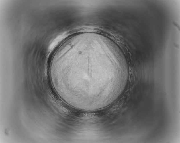 X0000102500296200808291717