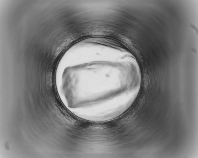 X0000102500299200808291717