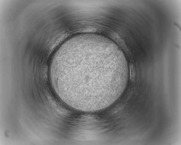 X0000102500300200808291717