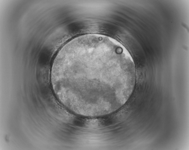 X0000102500301200808291717