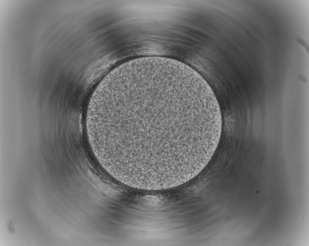 X0000102500302200808291717