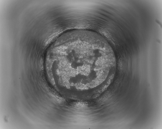 X0000102500303200808291717