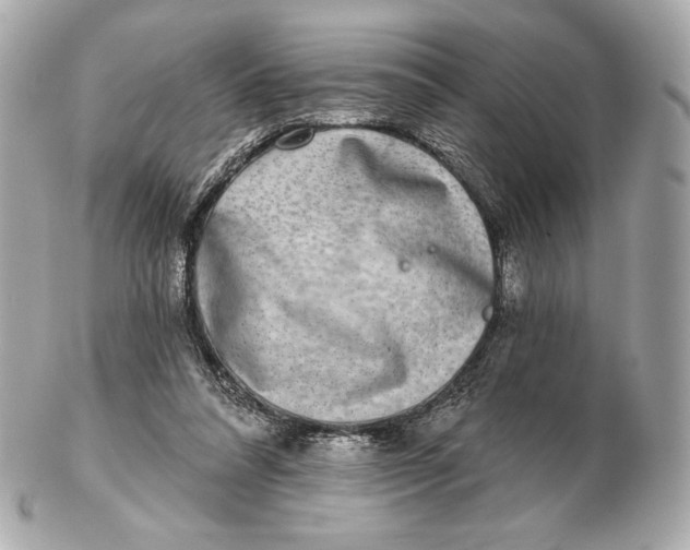 X0000102500304200808291717