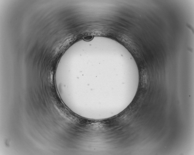 X0000102500310200808291717