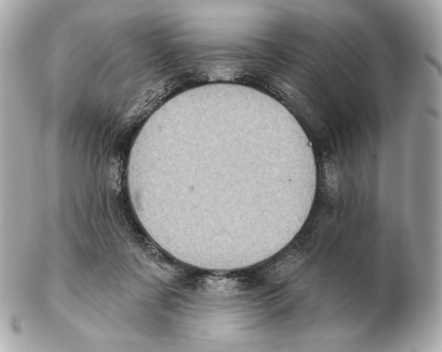 X0000102500311200808291717