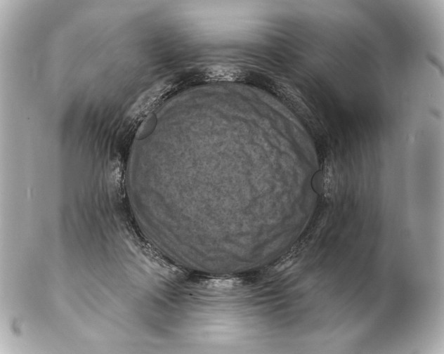 X0000102500314200808291717