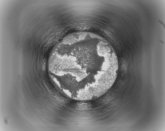 X0000102500315200808291717