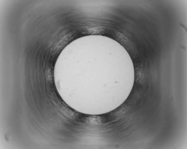 X0000102500317200808291717