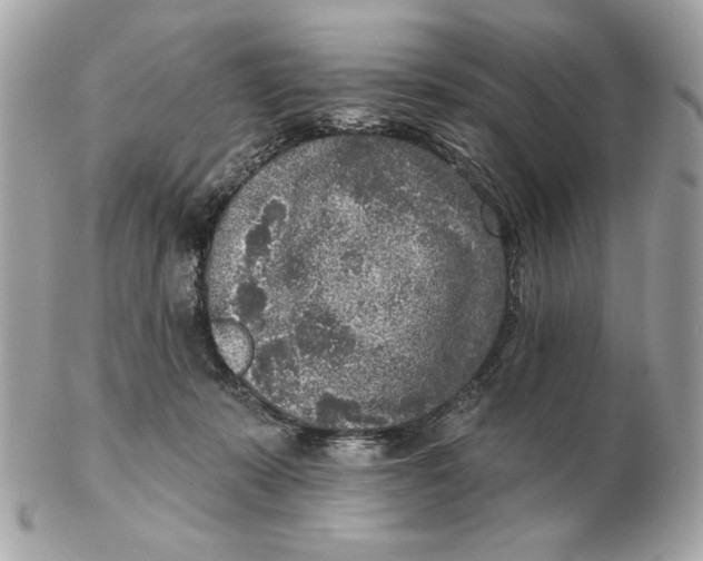 X0000102500319200808291717