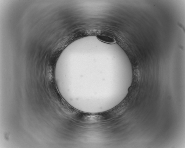 X0000102500323200808291717