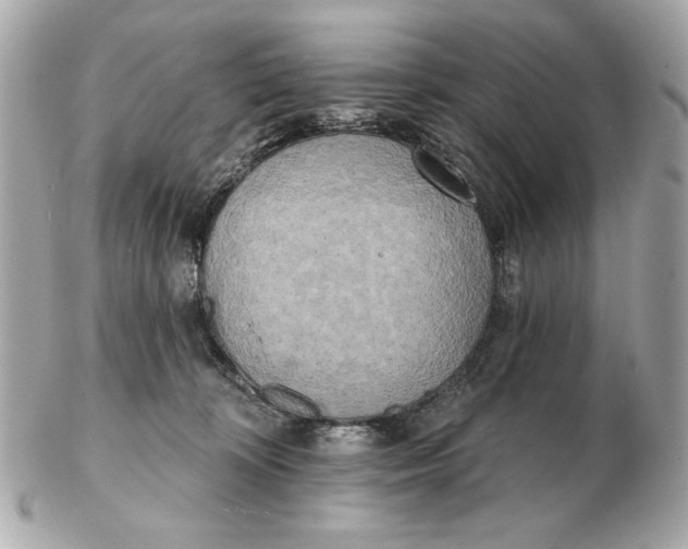 X0000102500324200808291717