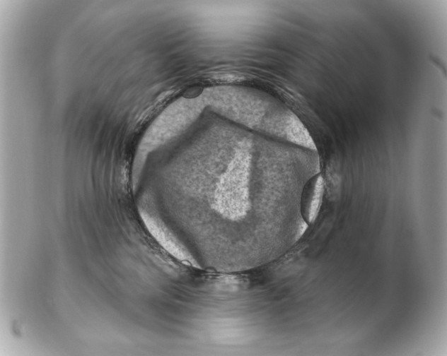 X0000102500330200808291717