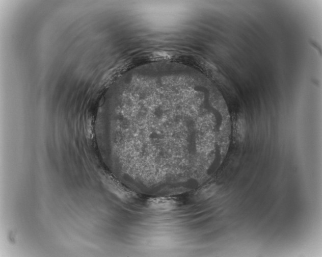 X0000102500331200808291717