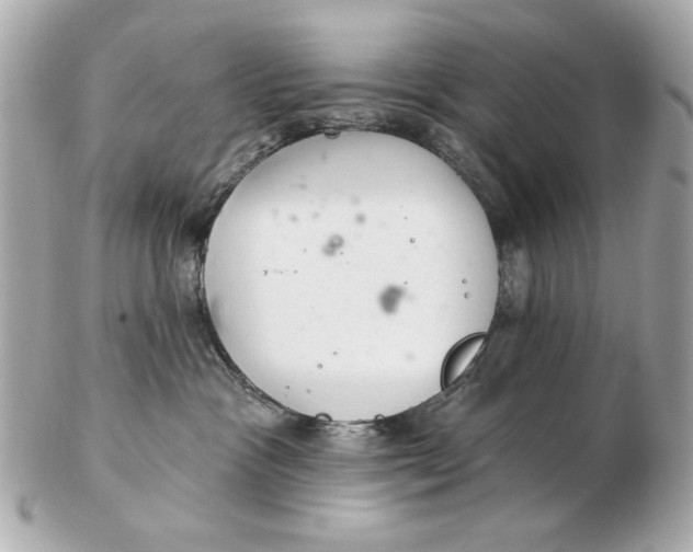 X0000102500333200808291717