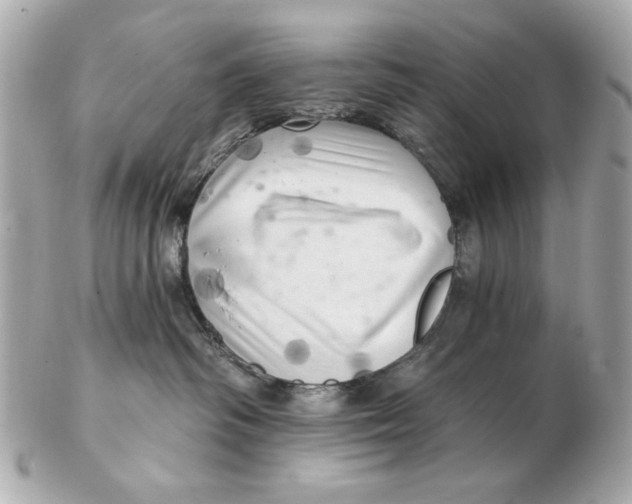 X0000102500334200808291717