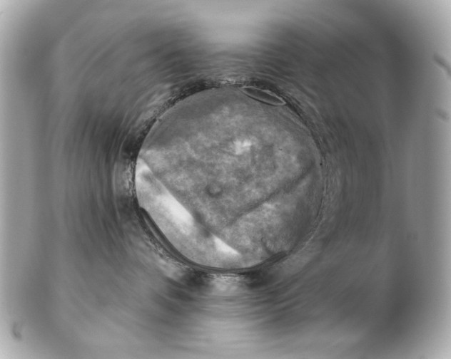 X0000102500336200808291717