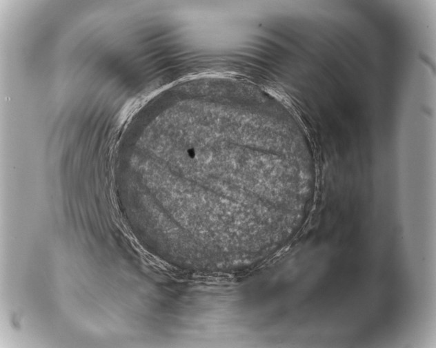 X0000102500337200808291716