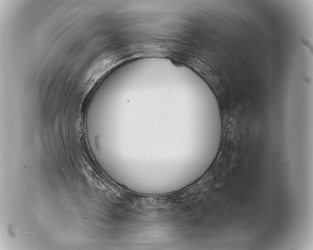 X0000102500338200808291716