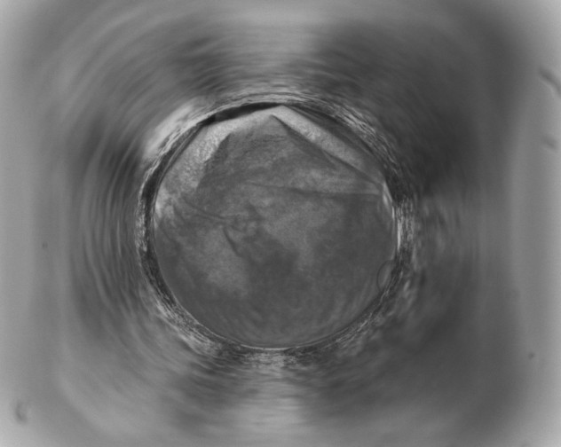 X0000102500339200808291716