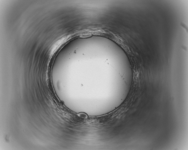 X0000102500340200808291716