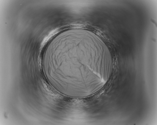 X0000102500343200808291716