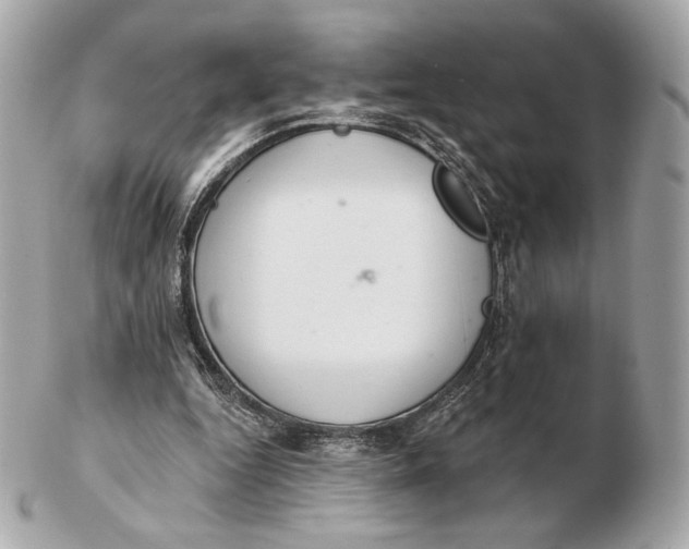 X0000102500344200808291716