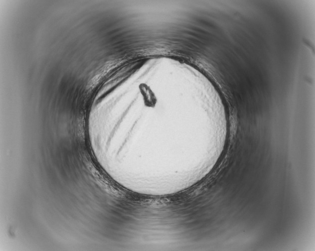 X0000102500345200808291716