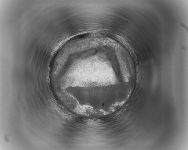 X0000102500346200808291716