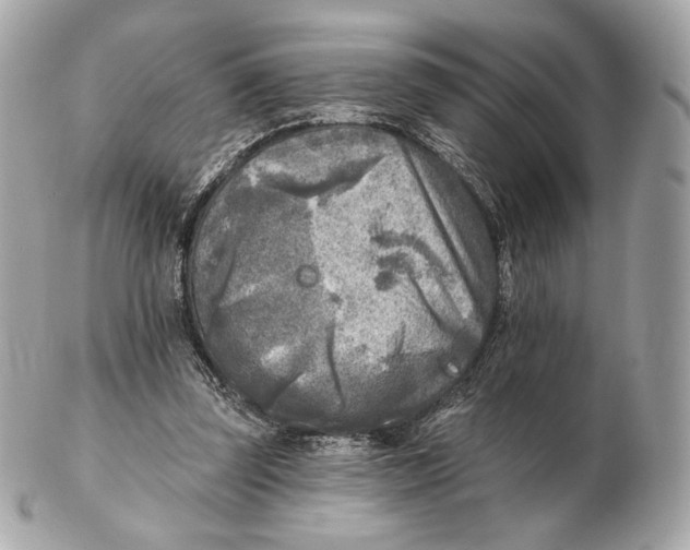 X0000102500347200808291716