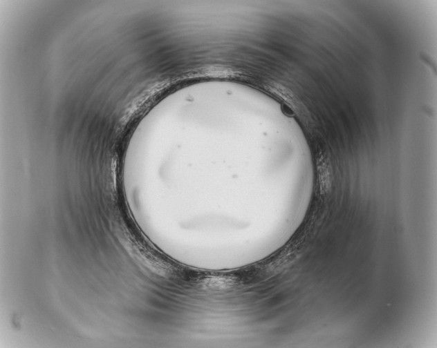 X0000102500350200808291716