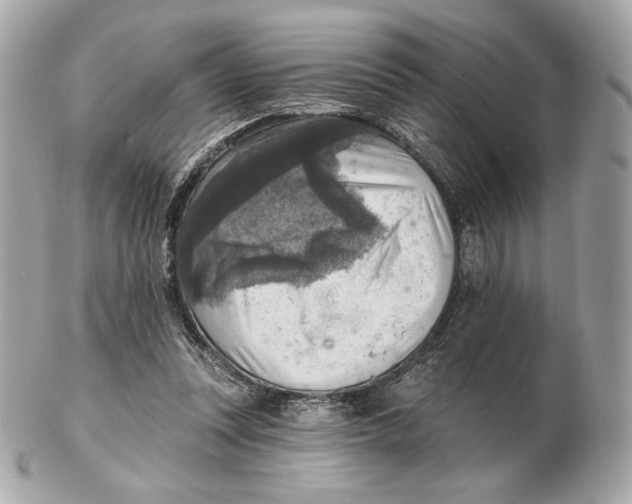 X0000102500351200808291716