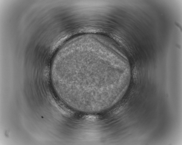 X0000102500352200808291716