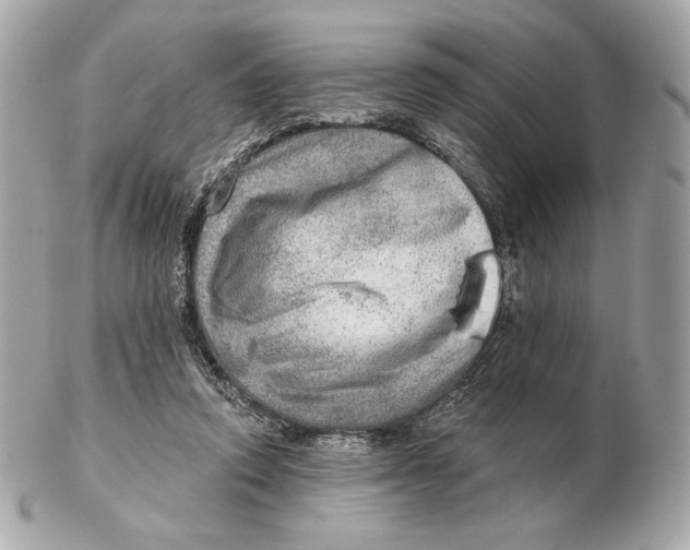 X0000102500354200808291716