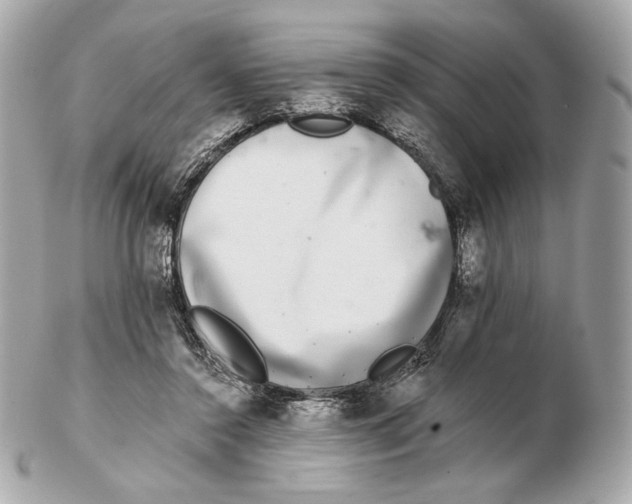 X0000102500356200808291716