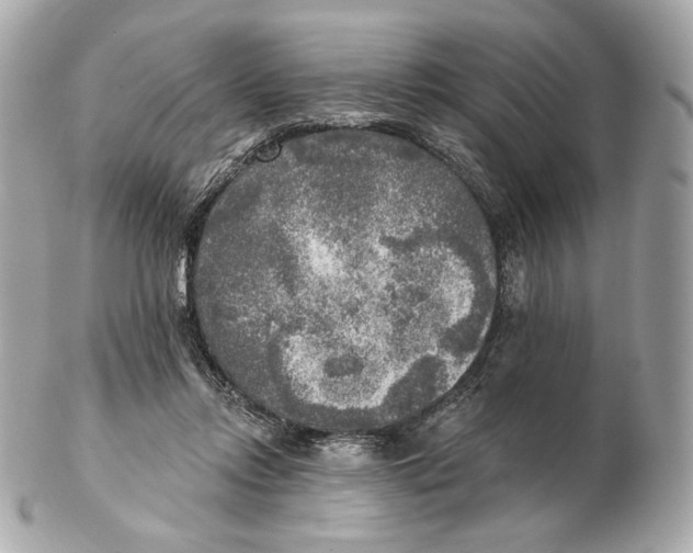 X0000102500358200808291716