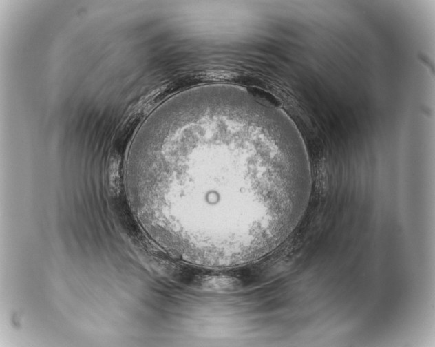 X0000102500360200808291716