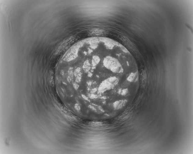 X0000102500361200808291716