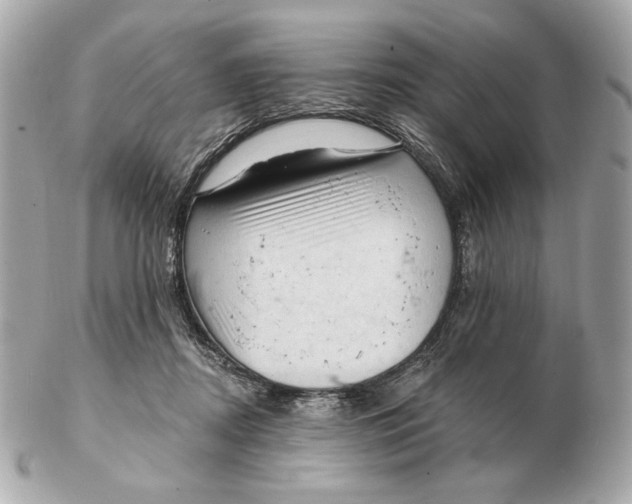 X0000102500362200808291716