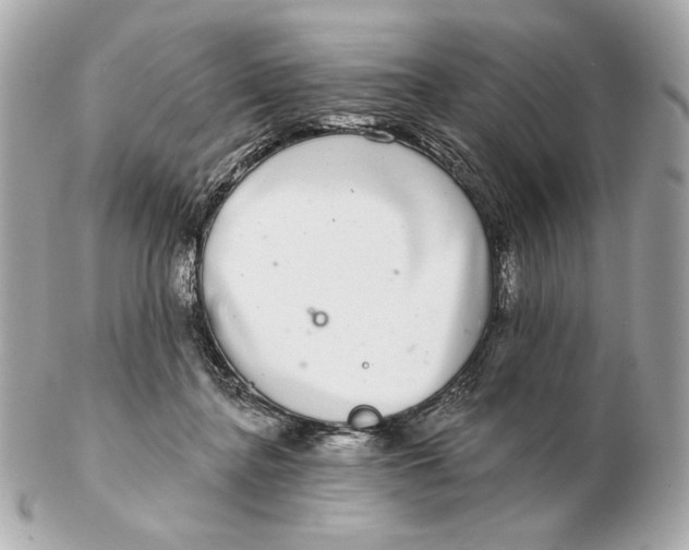 X0000102500364200808291716